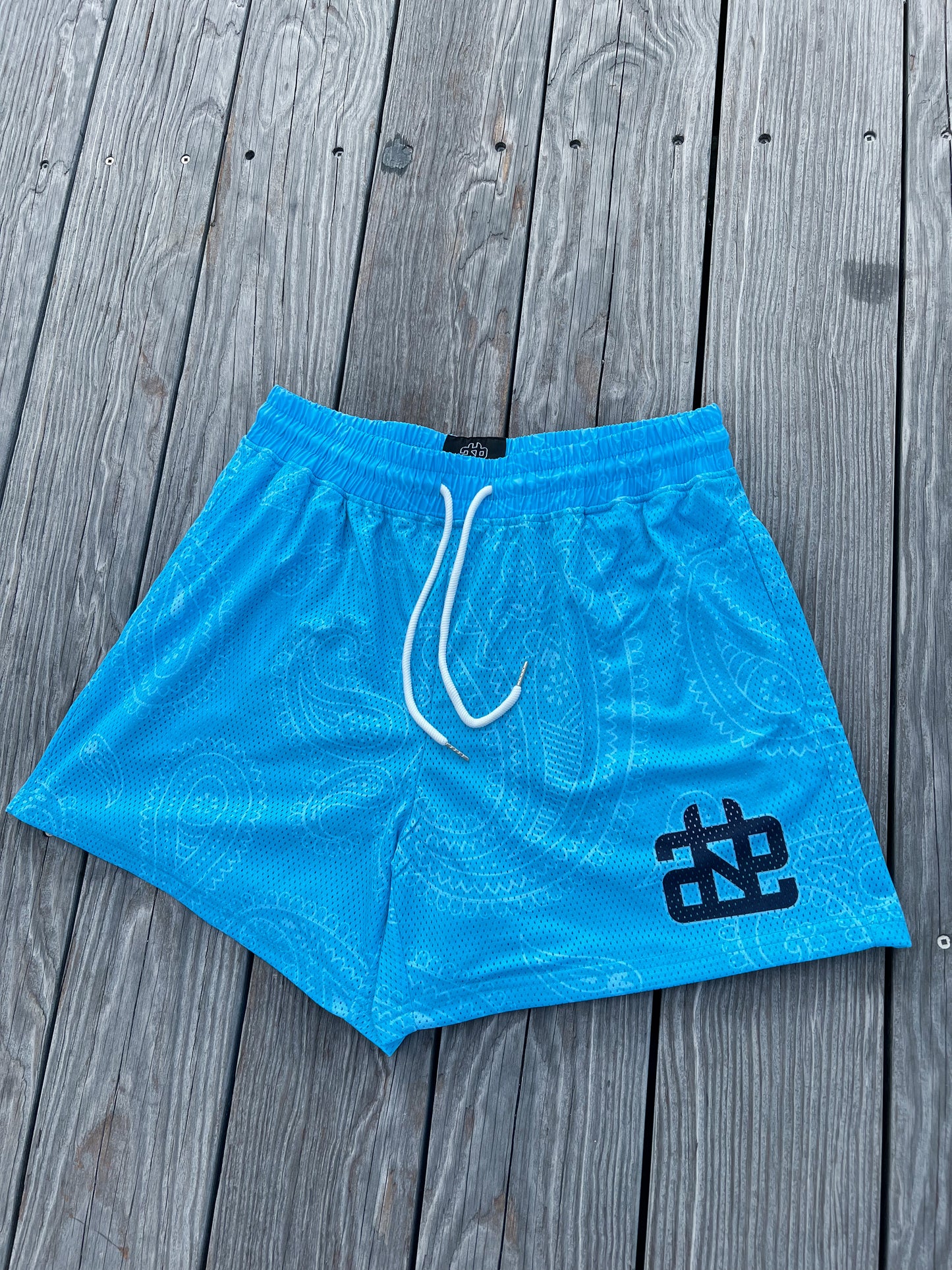 Arctic Paisley Mesh Shorts